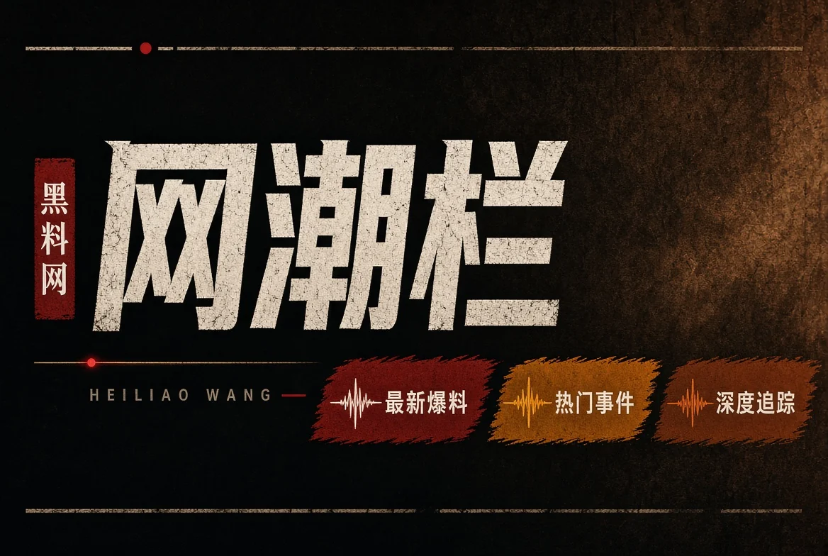 网浪栏数字文化观察